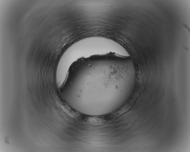 X0000102340568200808221633