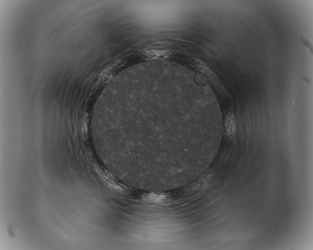 X0000102340570200808221633