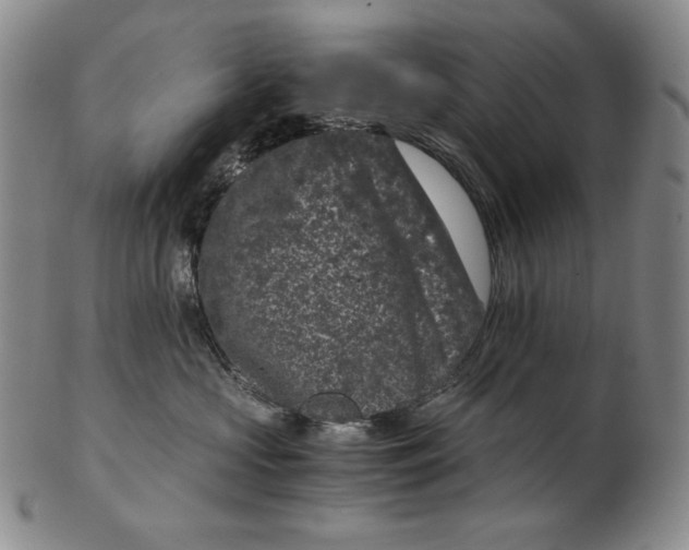 X0000102340573200808221633