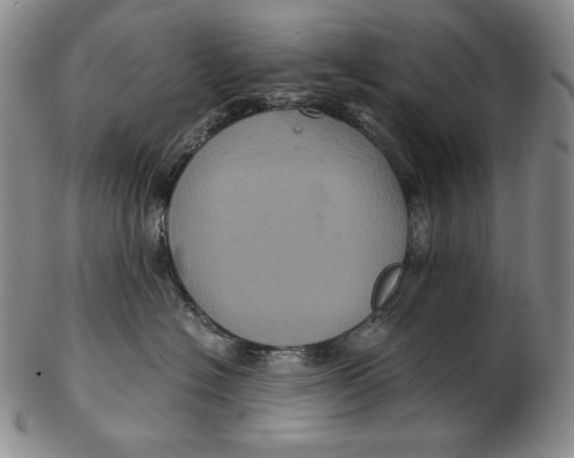 X0000102340574200808221633