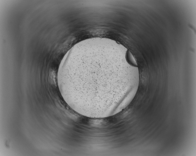 X0000102340575200808221633