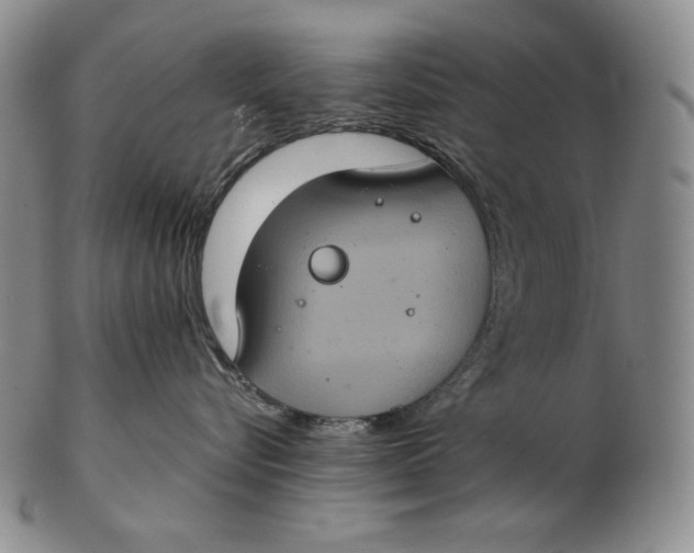 X0000102340576200808221633