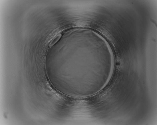 X0000102340577200808221633