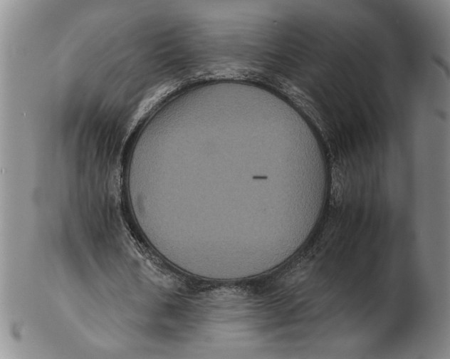 X0000102340578200808221633