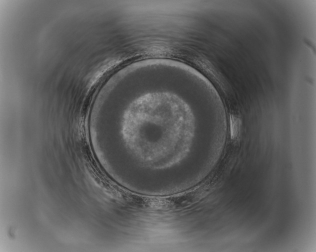 X0000102340579200808221633