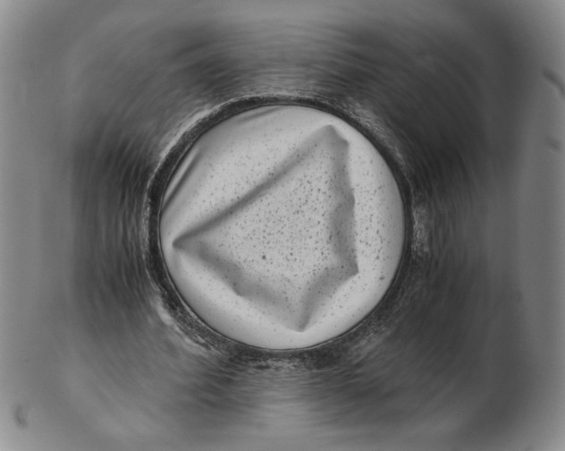 X0000102340580200808221633