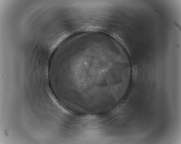 X0000102340581200808221633