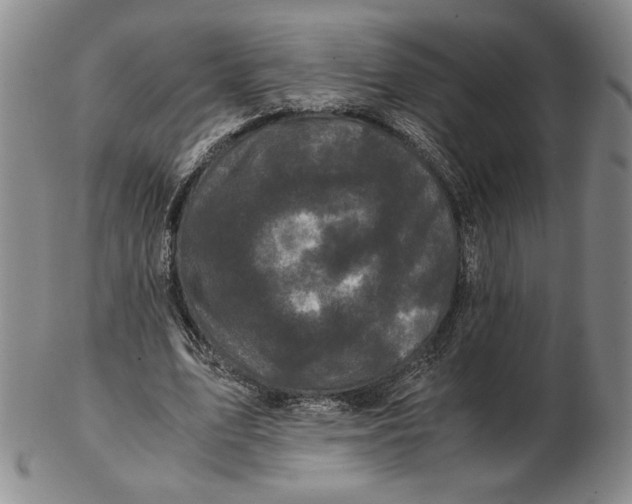 X0000102340583200808221633