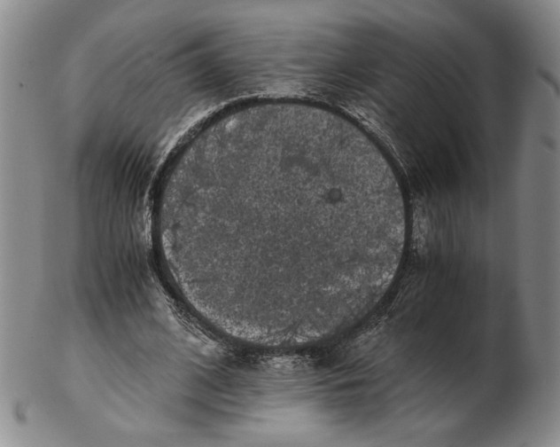 X0000102340584200808221632