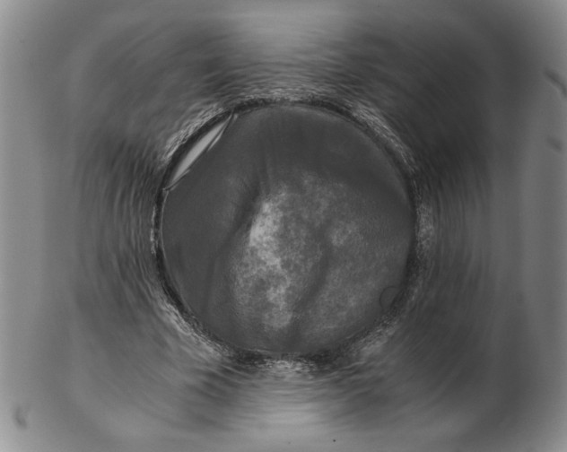 X0000102340585200808221632