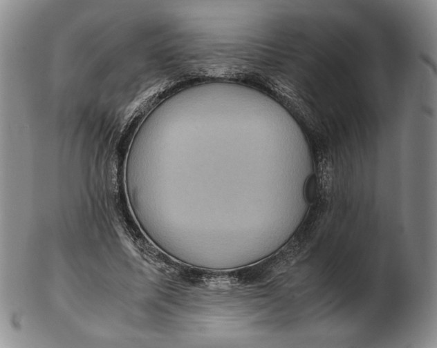 X0000102340587200808221632