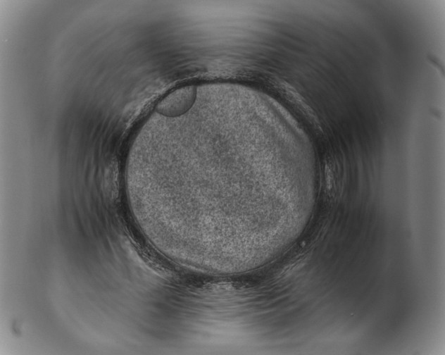 X0000102340588200808221632