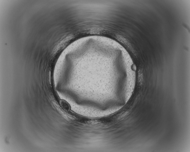 X0000102340589200808221632