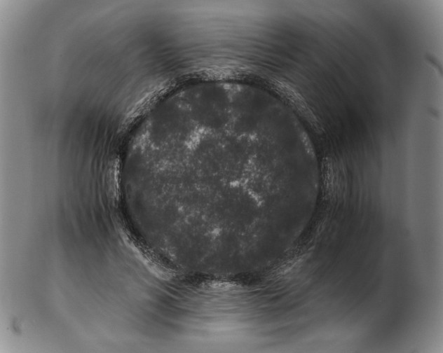 X0000102340590200808221632