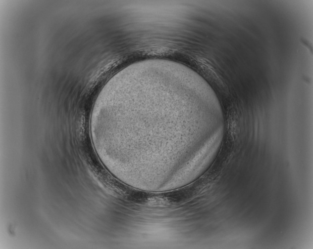 X0000102340591200808221632