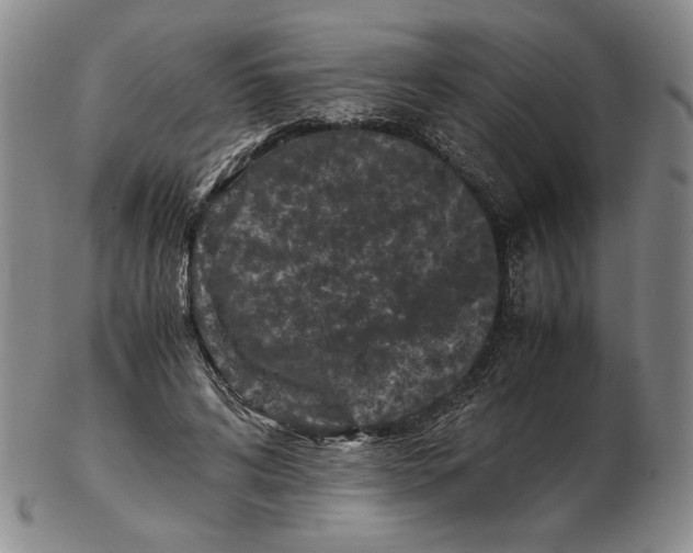 X0000102340592200808221632