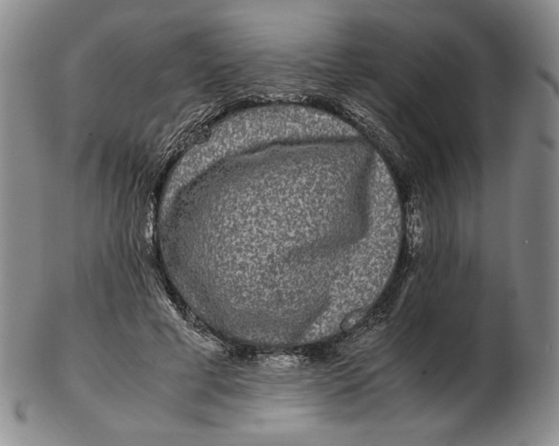 X0000102340593200808221632