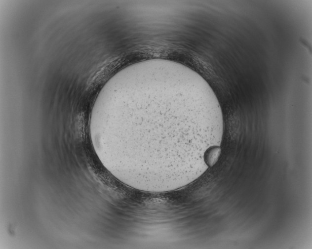 X0000102340594200808221632