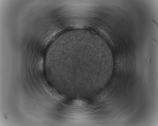 X0000102340596200808221632