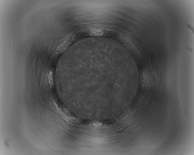 X0000102340598200808221632