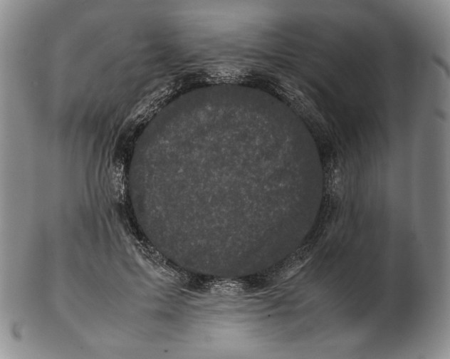 X0000102340599200808221632