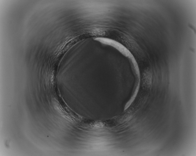 X0000102340600200808221632