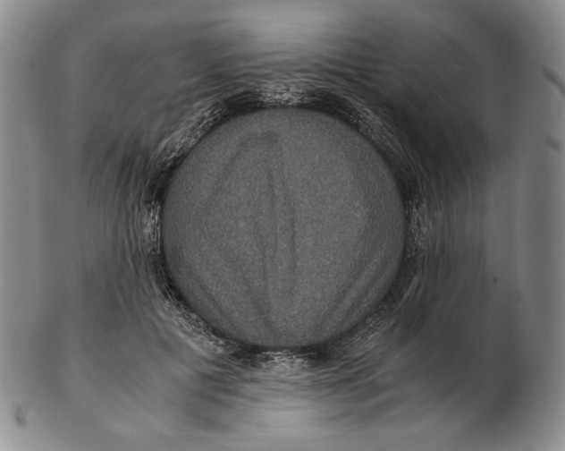 X0000102340601200808221632