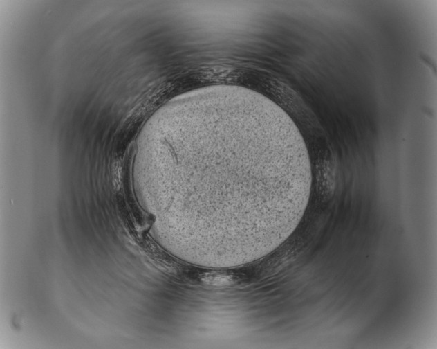 X0000102340602200808221632