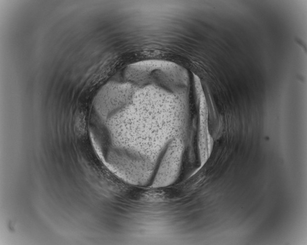 X0000102340606200808221632