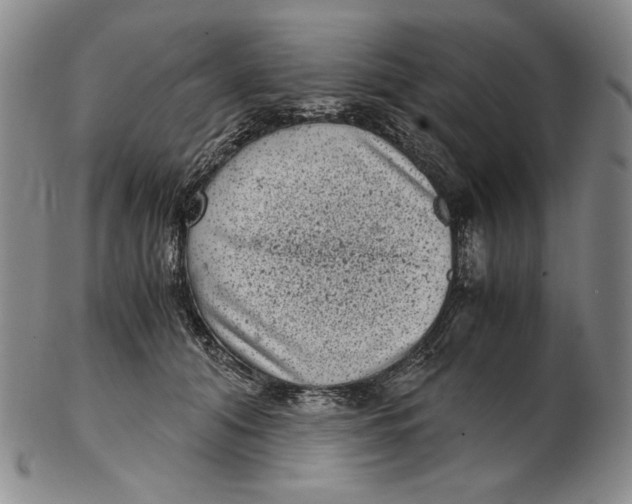 X0000102340608200808221632