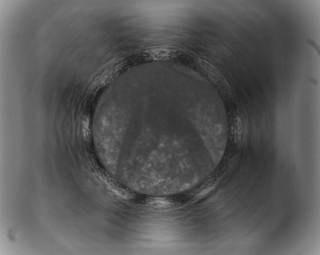 X0000102340610200808221632