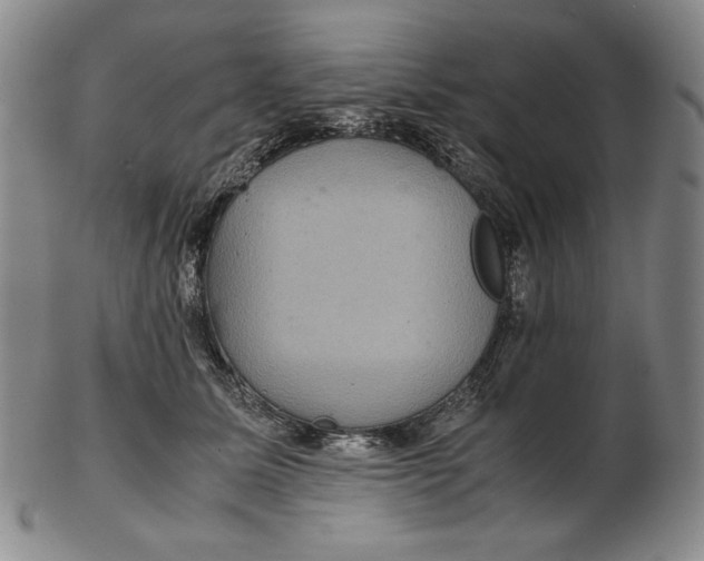 X0000102340611200808221632