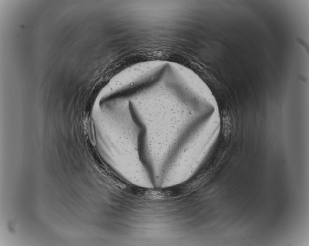 X0000102340613200808221632