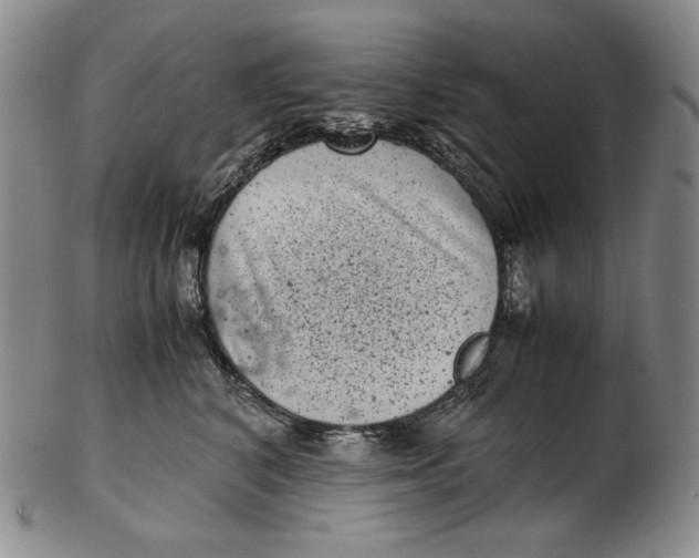 X0000102340616200808221632