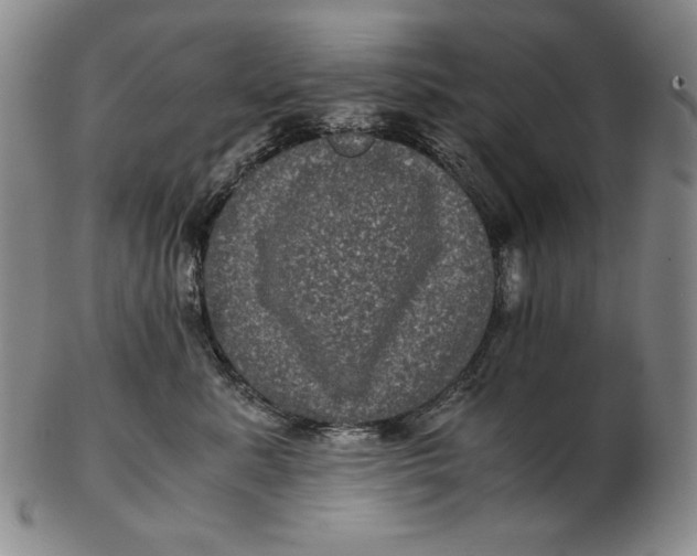 X0000102340619200808221632