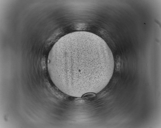 X0000102340620200808221632