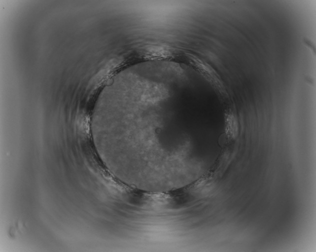 X0000102340621200808221632