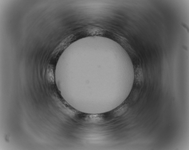 X0000102340622200808221632