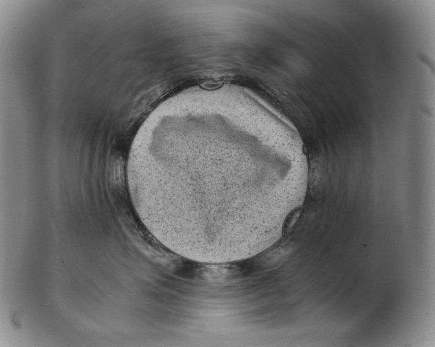 X0000102340623200808221632