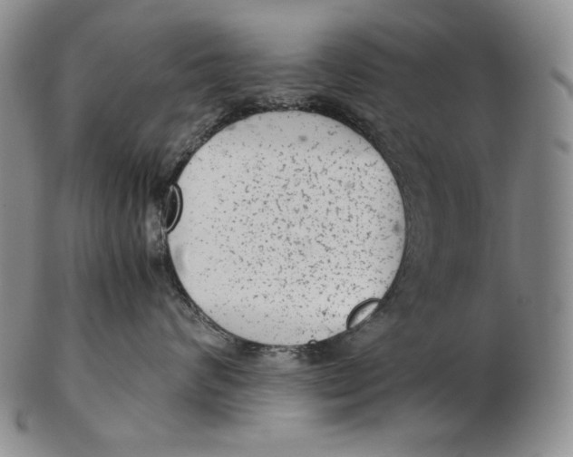 X0000102340624200808221632