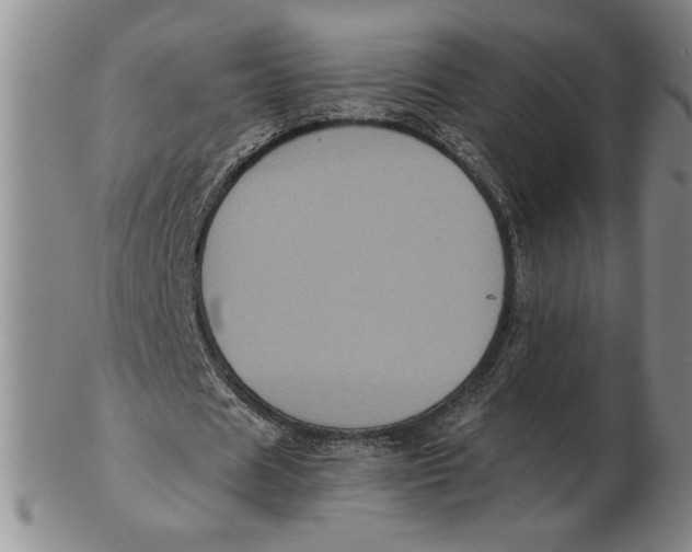 X0000102340625200808221631