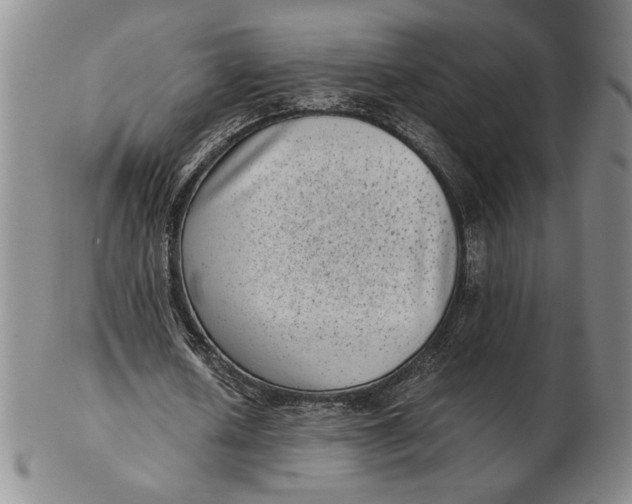 X0000102340626200808221631