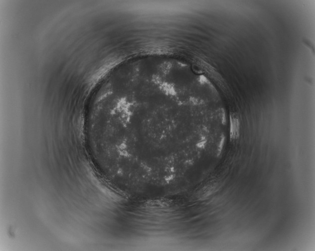 X0000102340627200808221631