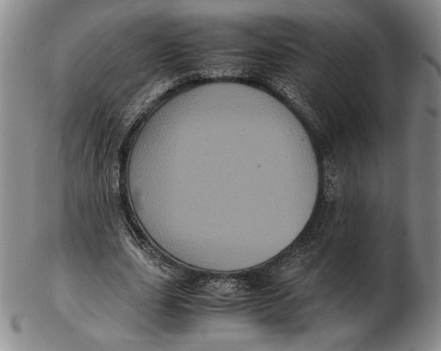 X0000102340631200808221631