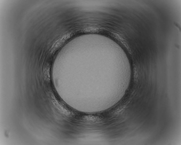 X0000102340633200808221631