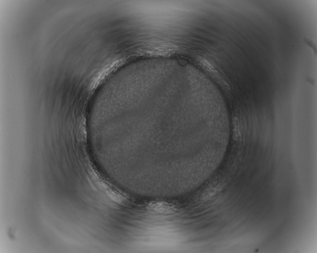 X0000102340634200808221631