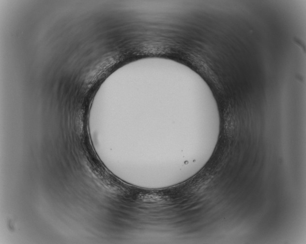 X0000102340635200808221631