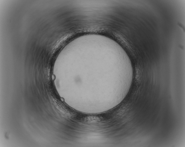 X0000102340636200808221631