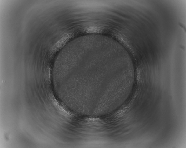 X0000102340637200808221631