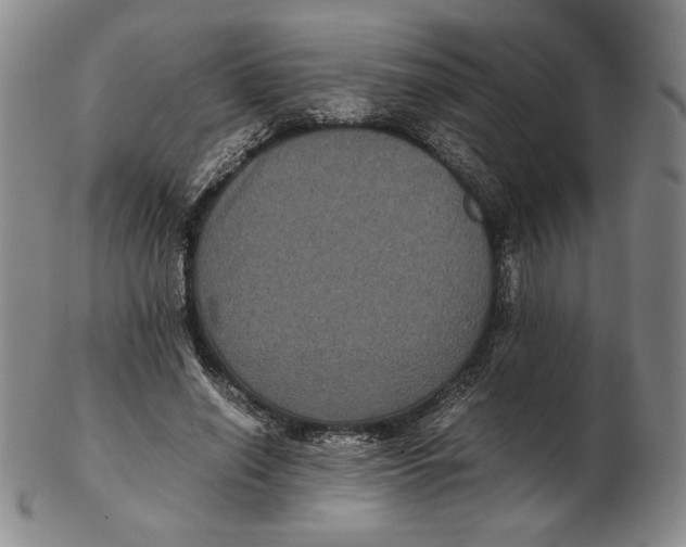 X0000102340638200808221631